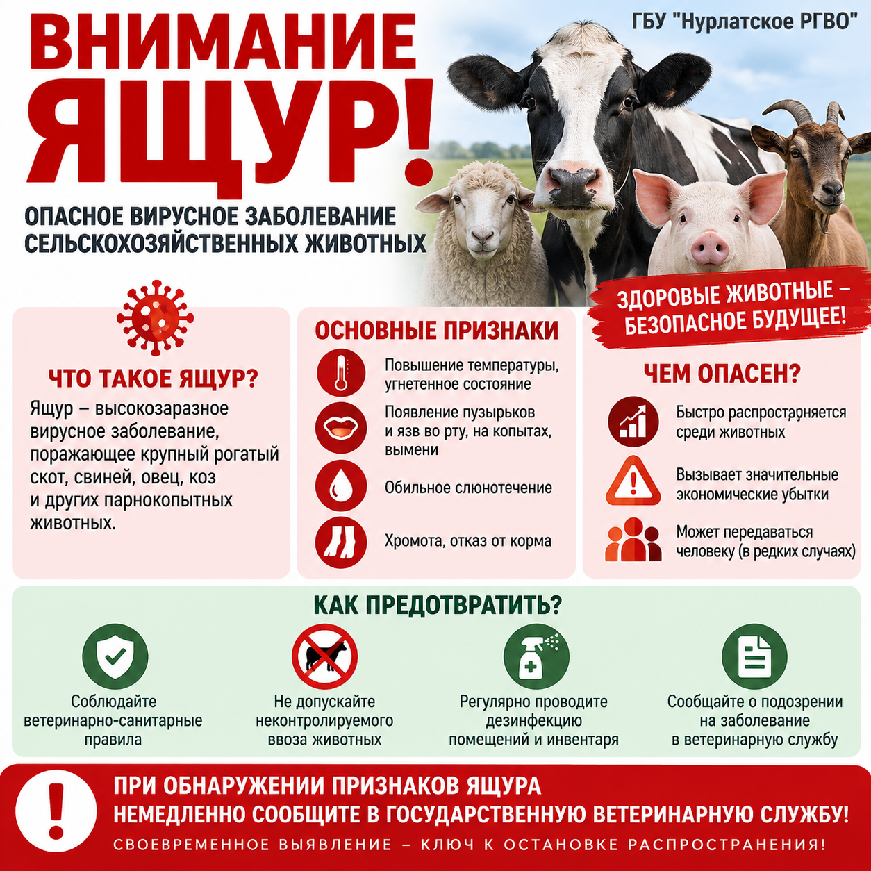 Ящур: коротко о главном — чтобы быть в безопасности
